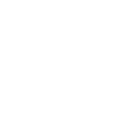 home-intro