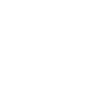 home-intro
